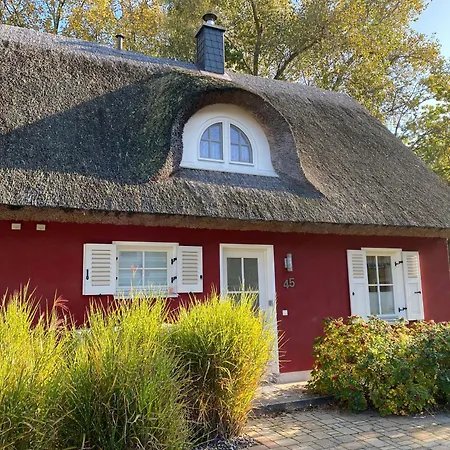 Hébergement de vacances Stella Glowe